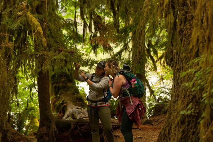 Olympic Full Day Small Group Tour & Hike - The Hoh Rainforest Experience: Short Walks or Longer Hikes