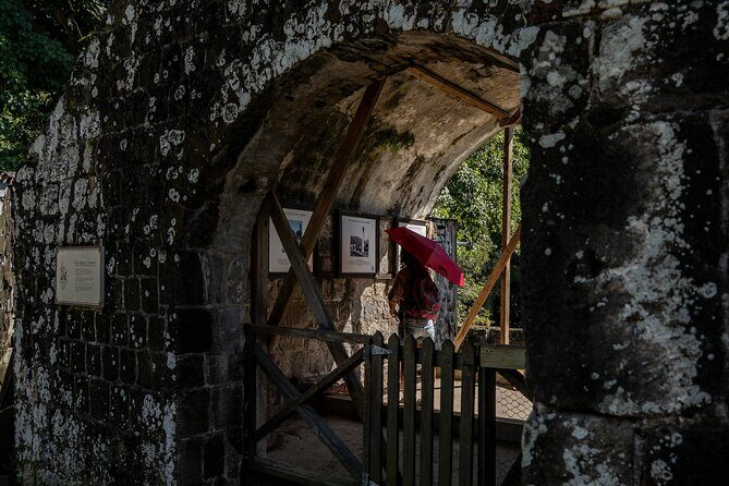 Open Air St. Kitts Tour with Island Vibes - Authentic Insights from Travelers