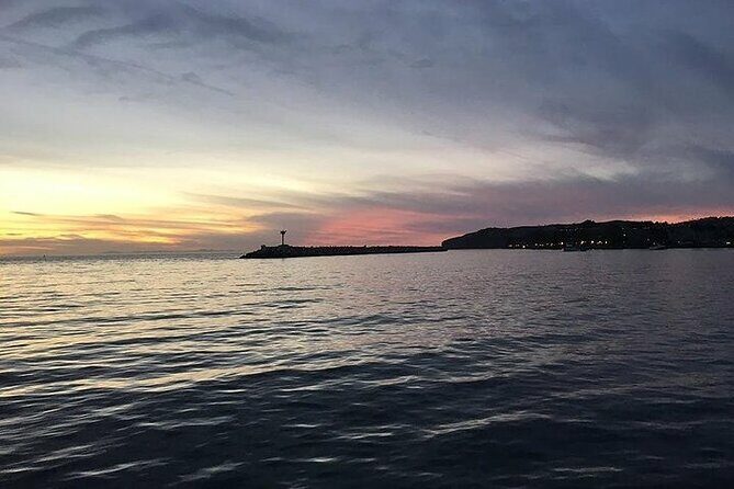 Orange County Evening Harbor Wine Cruise Scenic Wine Tasting - Who Should Consider This Tour?