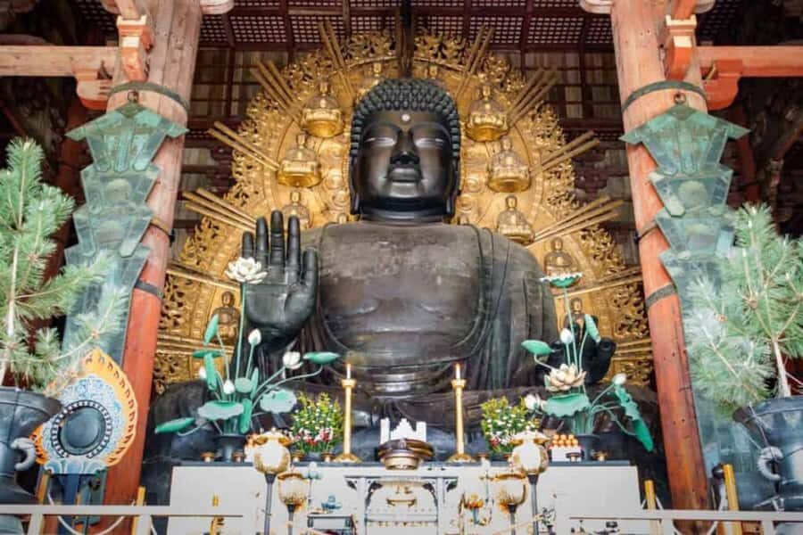 Osaka/Kyoto; Kyoto and Nara customizable Day Tour with Guide - An In-Depth Look at the Experience