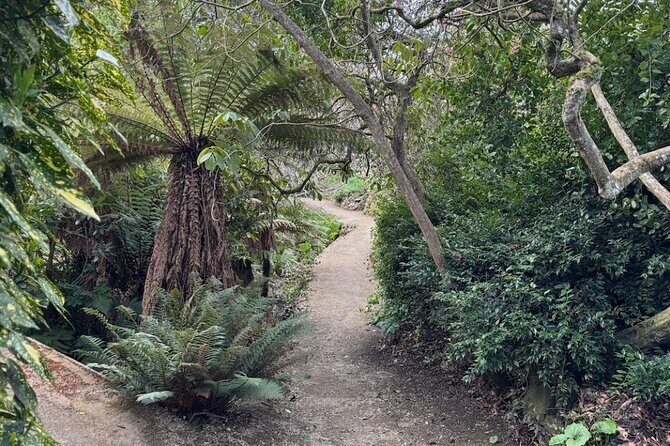 Otago Peninsula's Hidden Gems: A Self Guided Driving Tour - What Makes This Tour Stand Out?