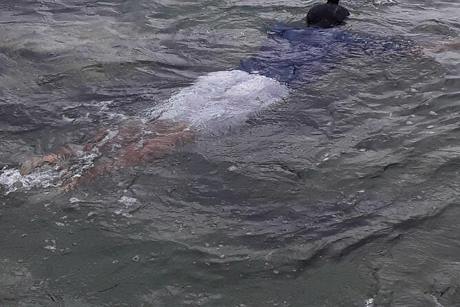 Other side of heaven Eco friendly snorkeling adventure - The Itinerary: Breaking Down the Experience