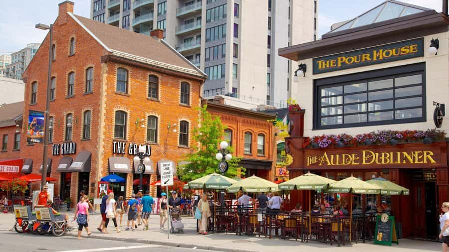 Ottawa: Tulip Festival and ByWard Market Tour - Who Will Love This Tour?