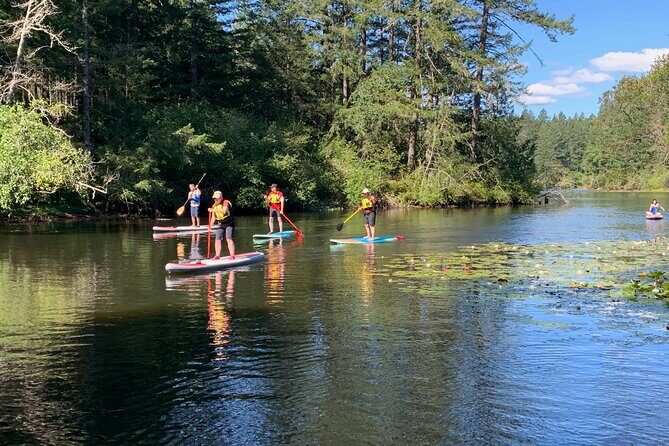 Paddling Thetis Lake - The Experience from the Traveler’s Perspective