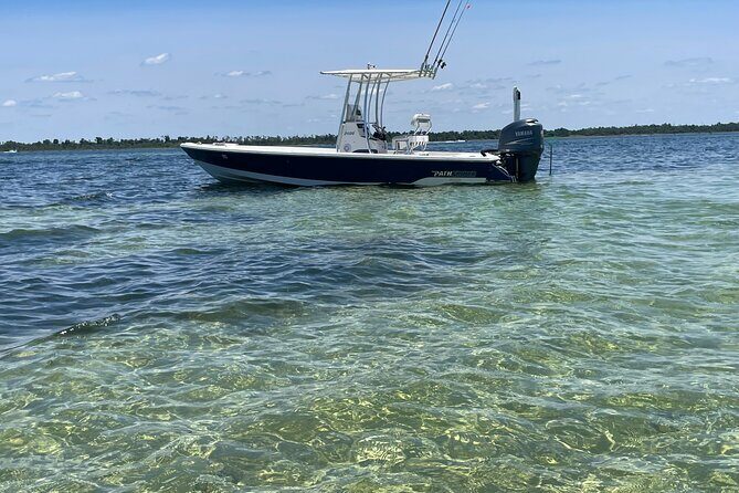 Panama City Beach Florida, Dolphin, Shell Island and Eco Tours - Final Thoughts: Is It Worth It?