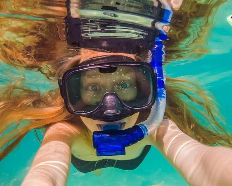 Panglao: Snorkeling at NapalingReef with Sardines Experience - Who Is This Tour Best For?