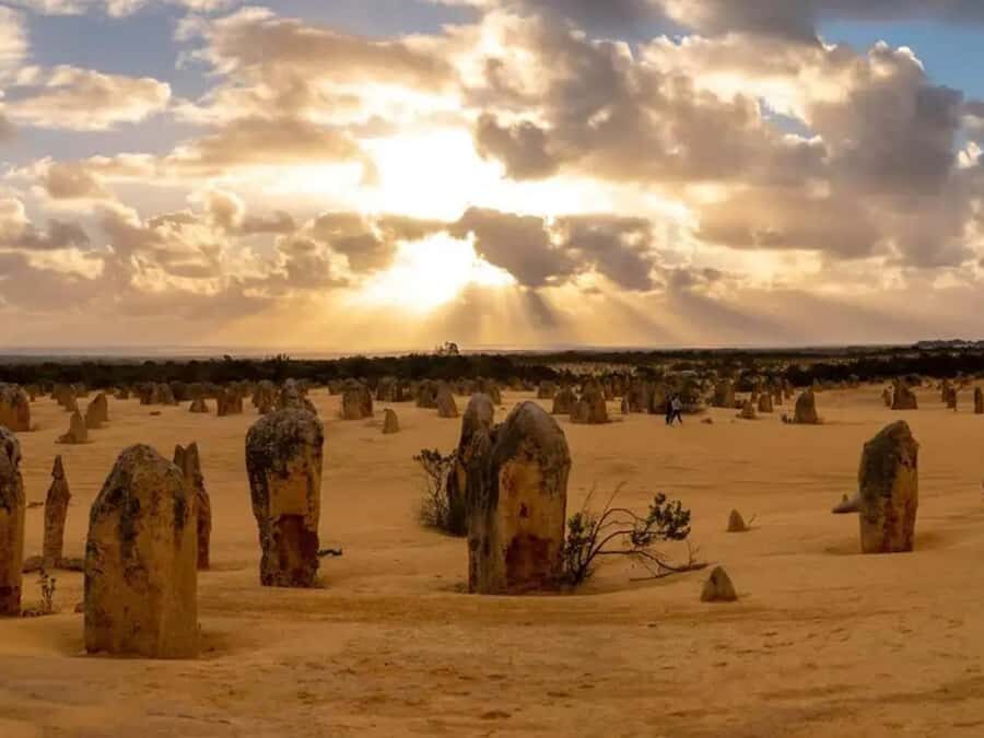 Perth: 7-Day Rottnest Island Tour Package with Accommodation - What Makes This Tour Stand Out