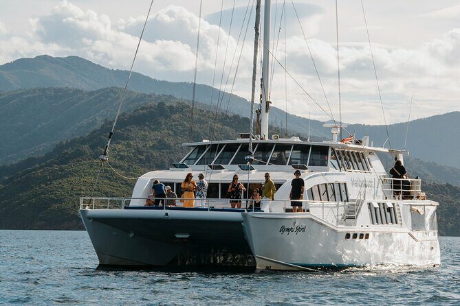 Picton Morning Guided Kayak with Afternoon Boat Cruise Tour - What the Tour Means for Travelers