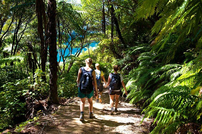 Picton Shore Excursion Kaipupu Sanctuary Water Taxi - Practical Tips for the Best Experience