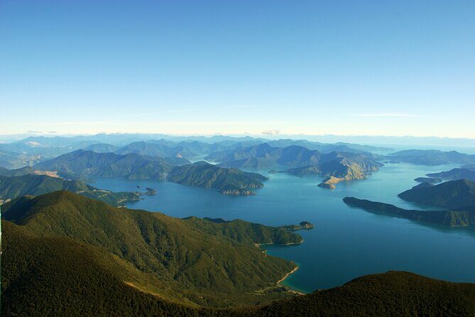 Picton Shore Excursion Queen Charlotte Sound Cruise - What Makes This Cruise Stand Out?