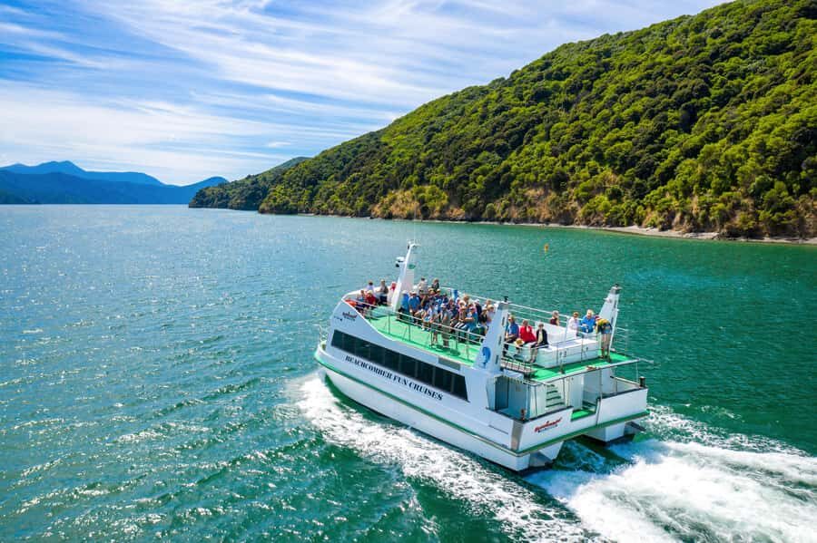 Picton Shore Excursion: Queen Charlotte Sounds Cruise - The Scenic Highlights and Wildlife Outlook
