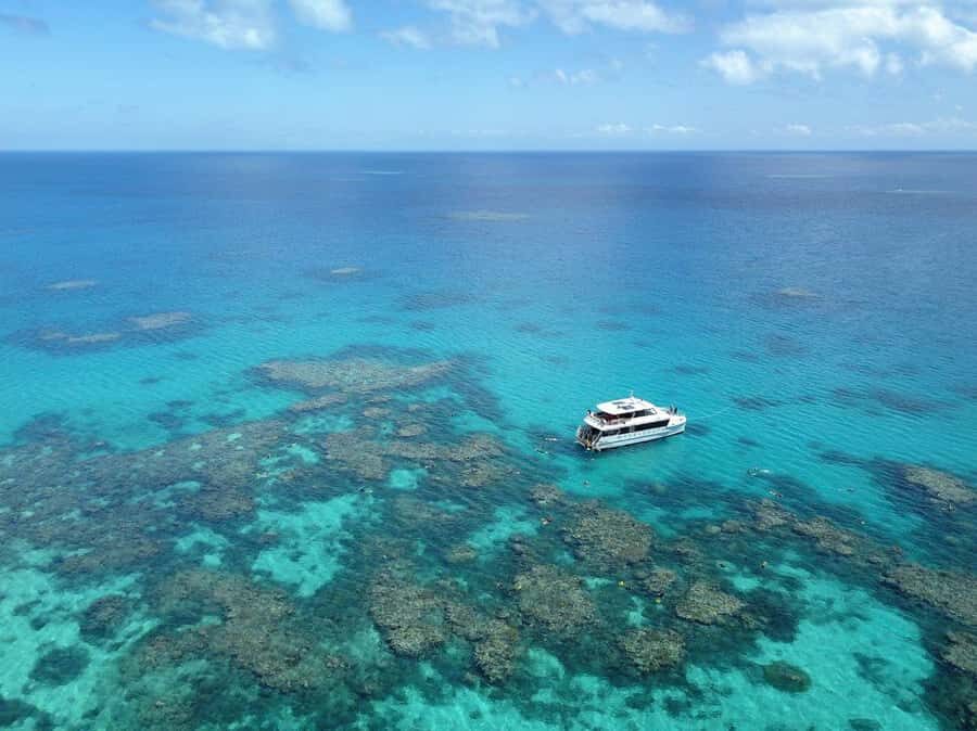 Port Douglas: Outer Great Barrier Reef Snorkeling Cruise - The Value of the Experience