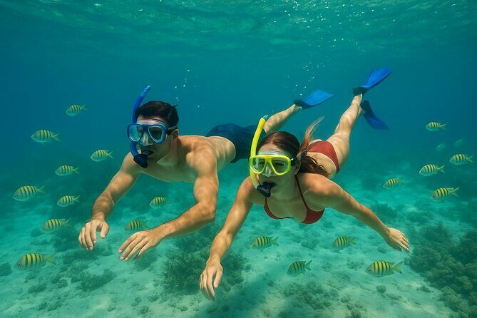 Private 4-Hour Guided Jet Ski Tour  Madeira & Shell Key - The Itinerary in Detail
