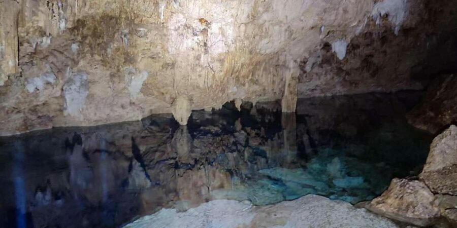 Private: Bayahibe: Jungle Walk and Cenote Snorkeling Tour - What Makes This Tour Stand Out
