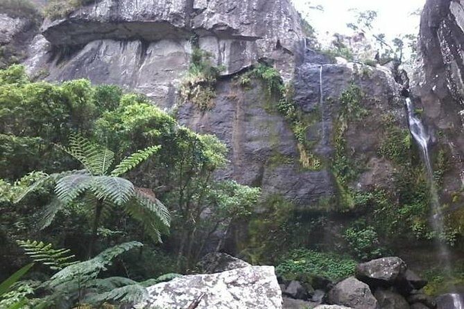 Private Breathtaking Koroyanitu Half Day Waterfall Hike - Visiting Remote Villages and Learning Fijian Culture