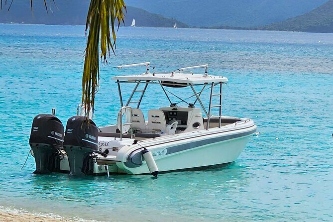 Private BVI Full Day Soggy Dollar and Willy T Tour - A Closer Look at the Itinerary