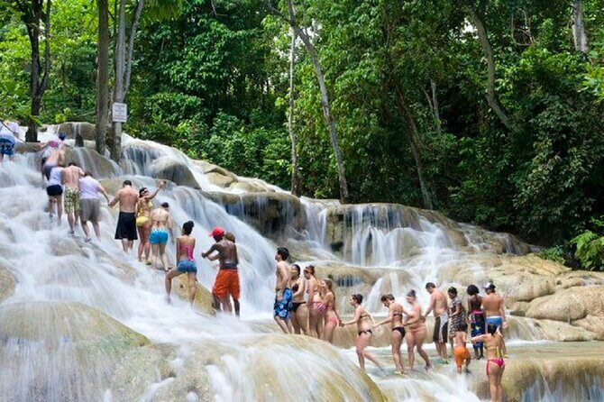 Private Dunn's River Falls Jamaica - Authentic Experiences and Real Traveler Feedback