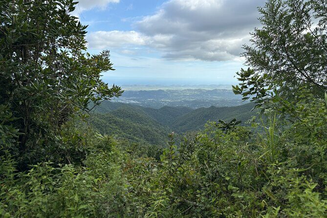 Private El Yunque Adventure  Hidden Waterfalls & El Toro Trail! - A Closer Look at the Itinerary