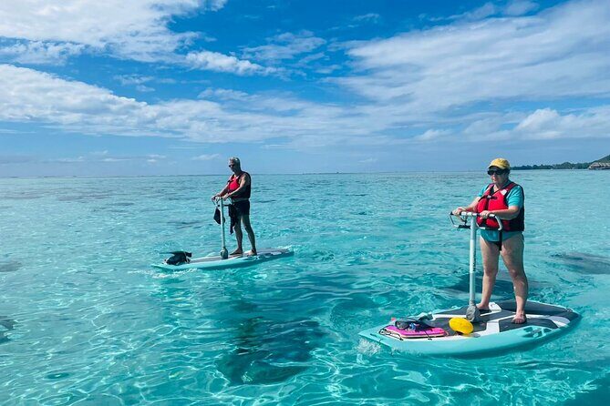 Private Excursion with E-Board in Moorea with snorkeling - The Experience in Context