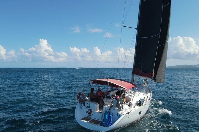 Private Half-Day Sailing and Snorkeling Tour - The Experience: What Travelers Say