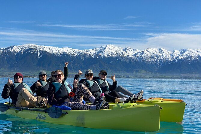 Private Seal Kayaking and Wildlife Tour in Kaikoura - An In-Depth Review of the Experience