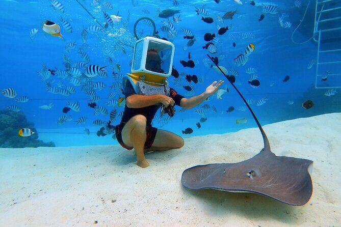 Private Tour: Aqua Safari Scuba Diving - The Marine World in Bora Bora