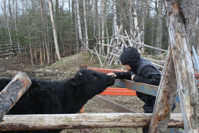 Private Tour at Historic Alaska Dairy Farm - The Experience: A Closer Look at the Itinerary