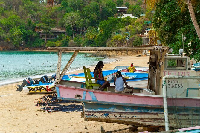 Private Tour Castara Bay from Tobago - Transportation and Comfort