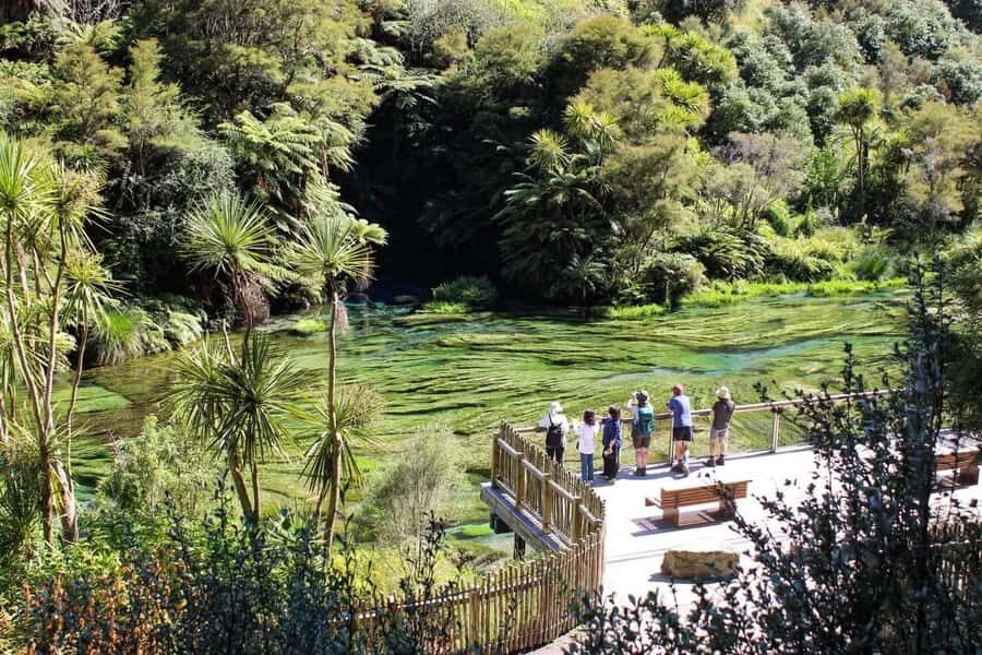 Private Tour: Hunua Falls, Blue Springs & Mclaren waterfall - Authenticity and Value
