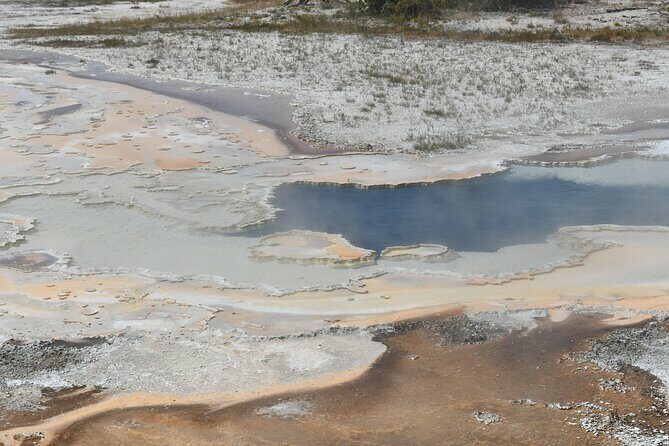 Private Tour of Yellowstones Natural Wonders from Jackson Hole - What You Can Expect on the Day