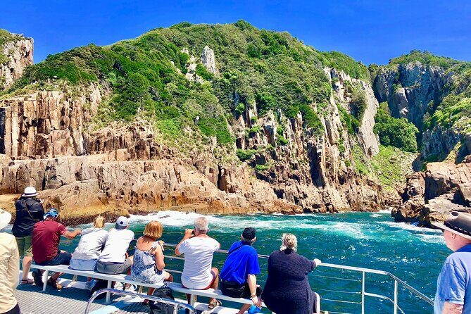 Private tour: Port Stephens, departing Newcastle - Whales! - The Sum Up: Who Should Consider This Tour?