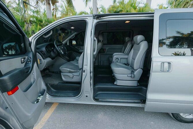 Private Transfer from Punta Cana to Bahia Principe La Romana - How the Service Works: From Landing to Hotel