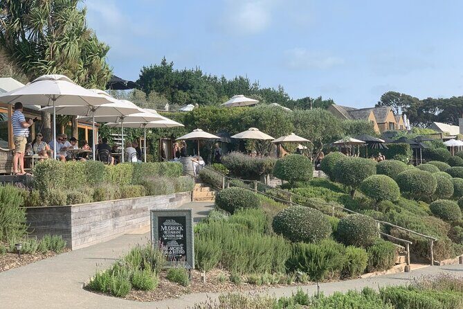 Private Waiheke Food & Wine Tour - Who Should Consider This Tour?