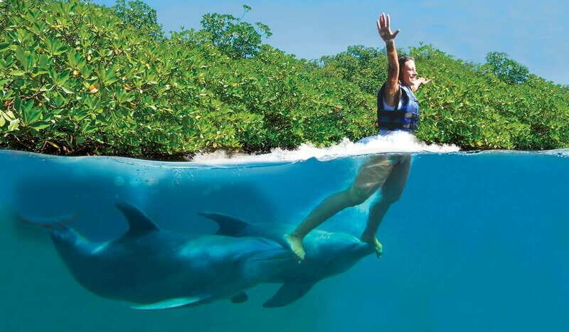 Puerto Morelos: Swim with dolphins Primax - The Itinerary in Detail