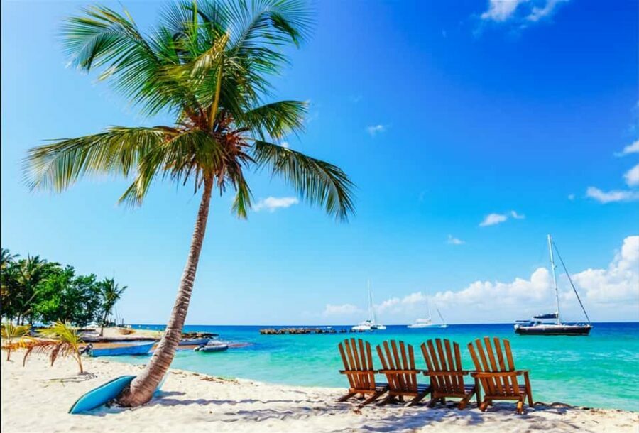 Punta Cana: 2-Day Saona Island and Los Haitises Adventure - What We Loved and What to Consider