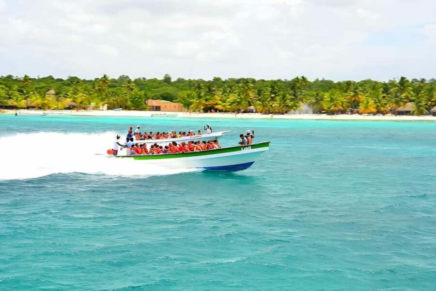 Punta Cana: Catamaran Boat to Saona Island with Buffet Lunch - Transportation, Timing, and Group Dynamics