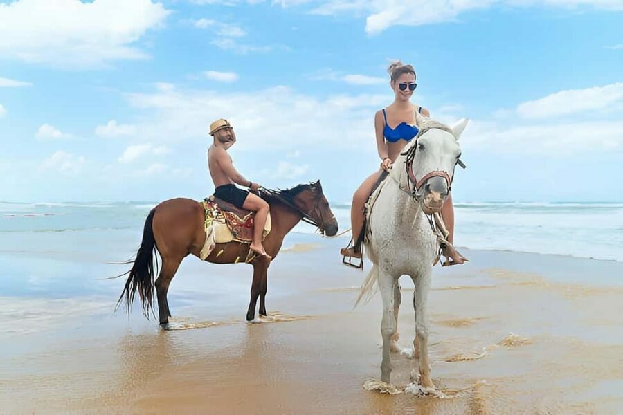 Punta Cana: Macao Beach & Forest Horseback Riding Tour - What to Expect on the Ground