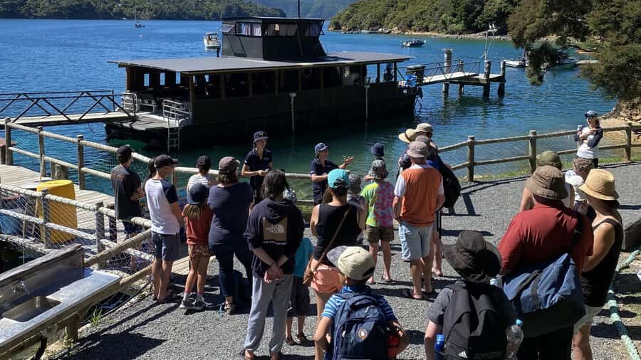 Queen Charlotte Sound: Lochmara Cruise & Explore 9-2.45 - The Experience: A Detailed Look at What to Expect