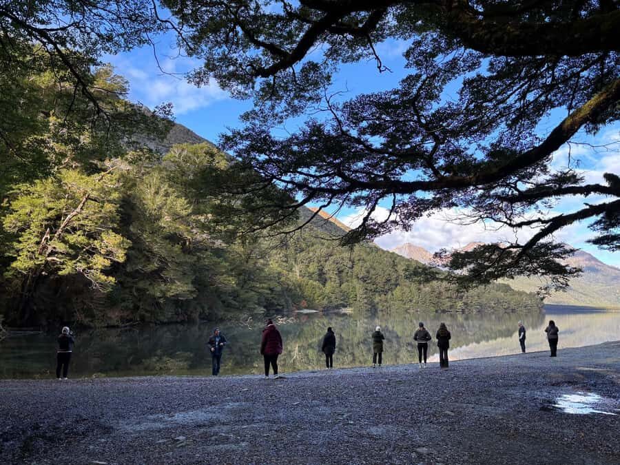 Queenstown to Te Anau via Milford Sound inc Cruise & Lunch - Additional Details and Practicalities