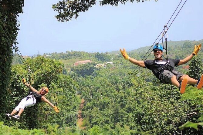 Rainforest Zipline in Foothills of the National Rainforest - FAQs