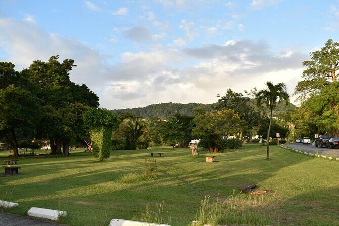 Relax in Hot Springs and swim in Titou Gorge and Trafalgar Falls - Pricing and Value