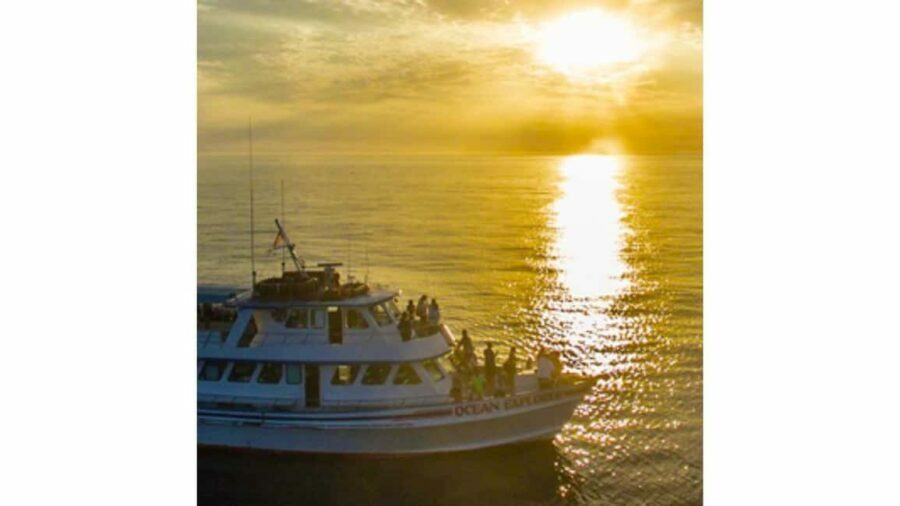 Relaxing Sunset/Evening Cruise in Newport Beach - What You Can Expect on the Cruise