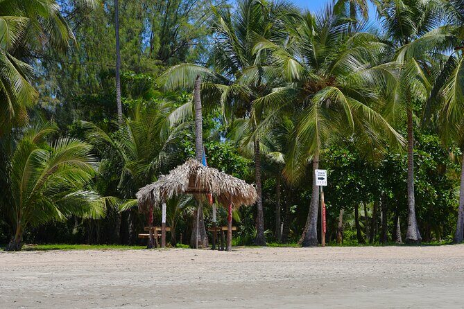 Rio grande & Luquillo Jet Ski Tour - Practical Details and Tips for Travelers