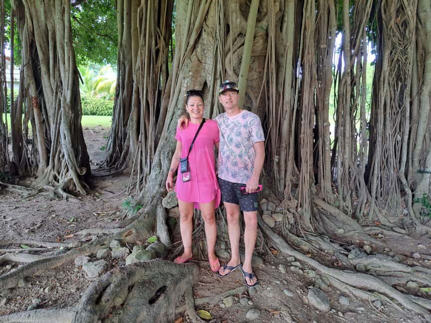 Roseau: Guided Tour with City, Nature, and Beach Options - The City Tour: A Snapshot of Roseau’s Heritage