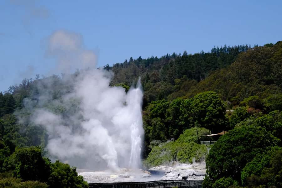 Rotorua: Te Puia Maori Village and Rejuvenation Tour - The Itinerary Breakdown