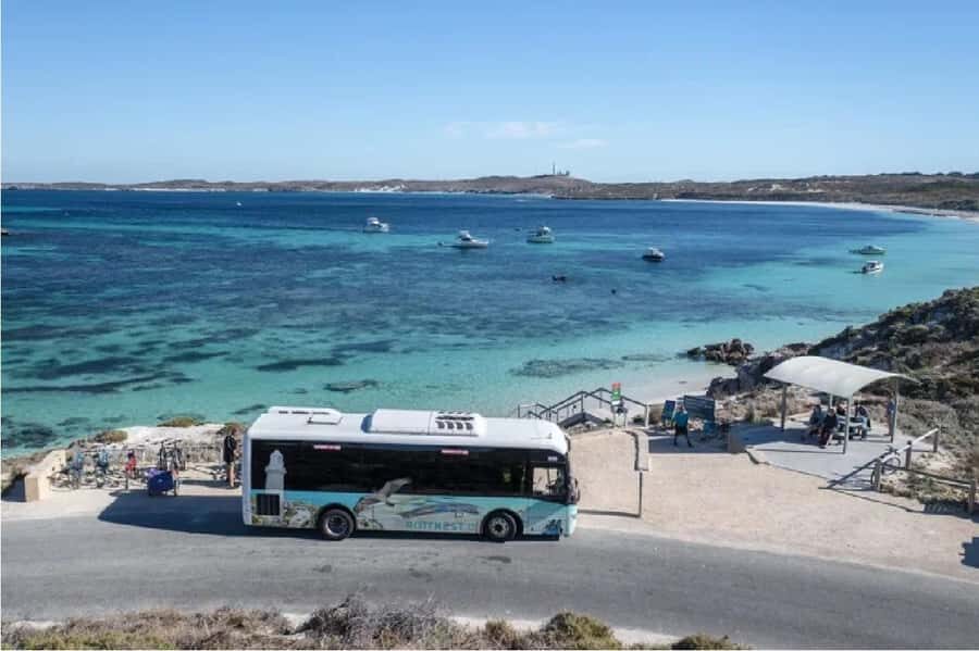 Rottnest Island 1.75 Hour Bayseeker Island Tour - Is the Tour Worth the Price?
