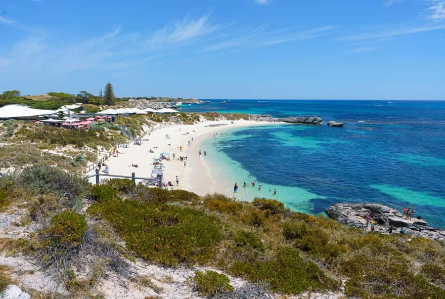 Rottnest Segway Coastal Explorer Tour - Who Will Love This Tour?