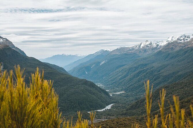 Routeburn Guided Day Hike from Te Anau with Lunch & Transport - Overall Value and Experience