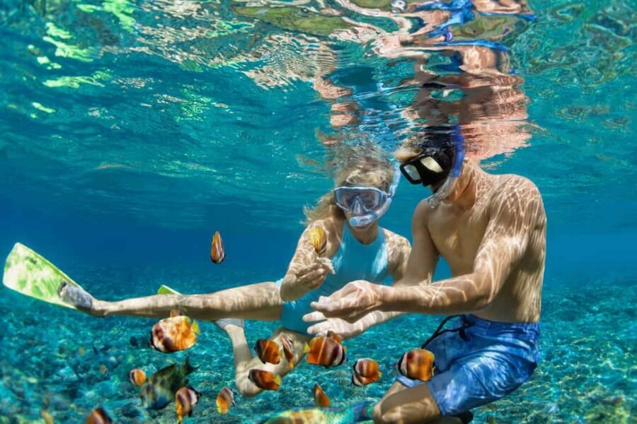 Saint Lucia: Snorkeling Beneath the Pitons in Soufriere - Details of the Itinerary