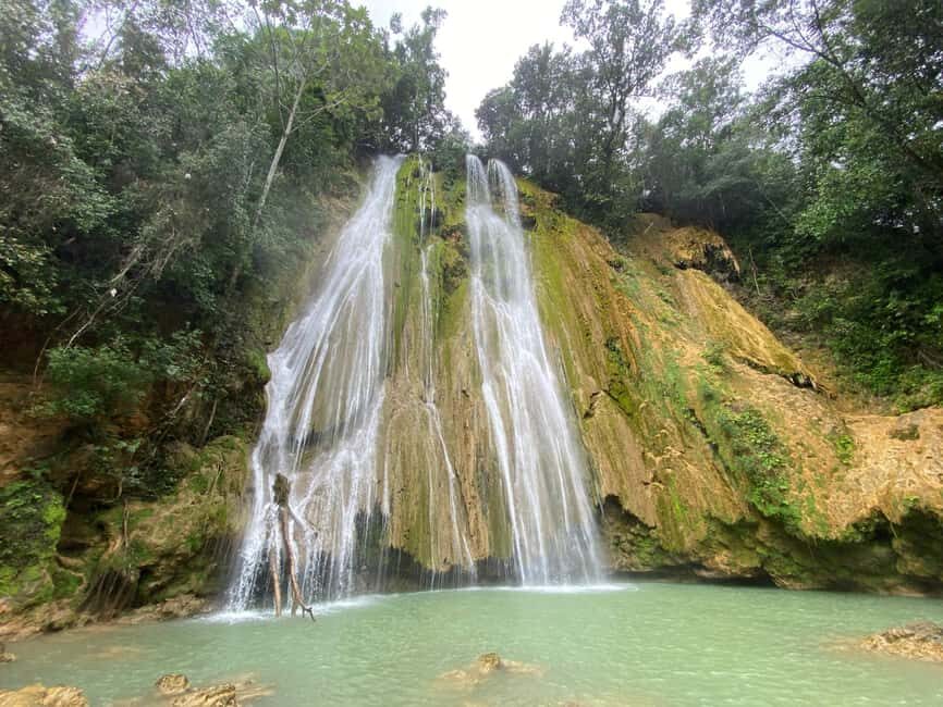 Samaná: El Limón Waterfall Horseback Riding Tour - What Travelers Say